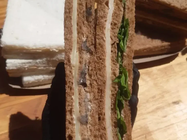 Festival Sánguche de miga vegano