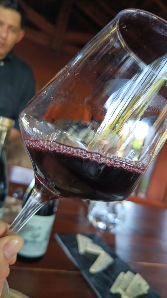 bodega 5 generaciones