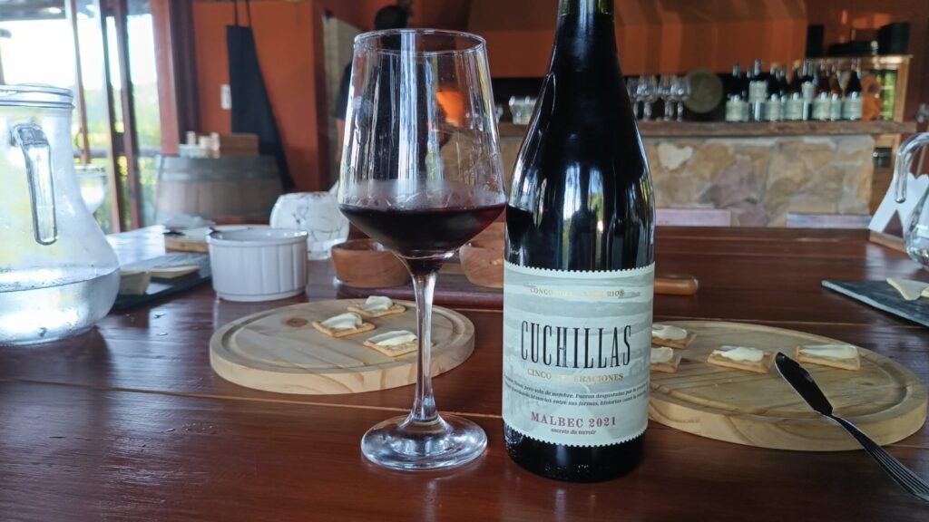 bodega 5 generaciones