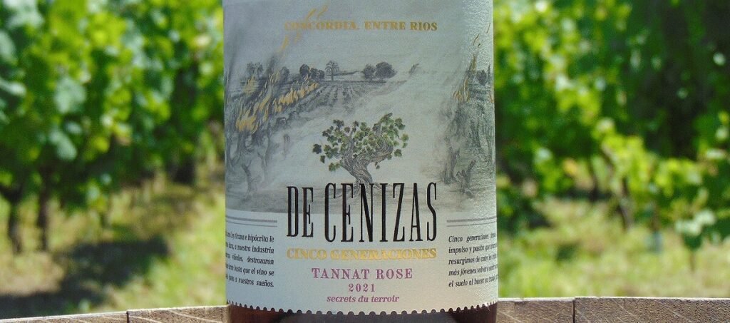 bodega 5 generaciones