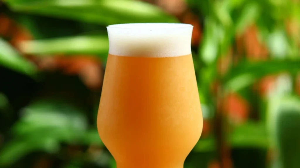 Hazy IPA Manush