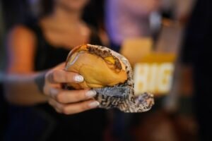 La Noche de las Hamburgueserías