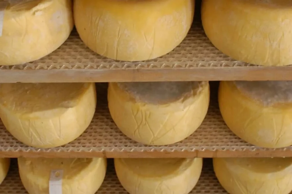 queso de tafí del valle