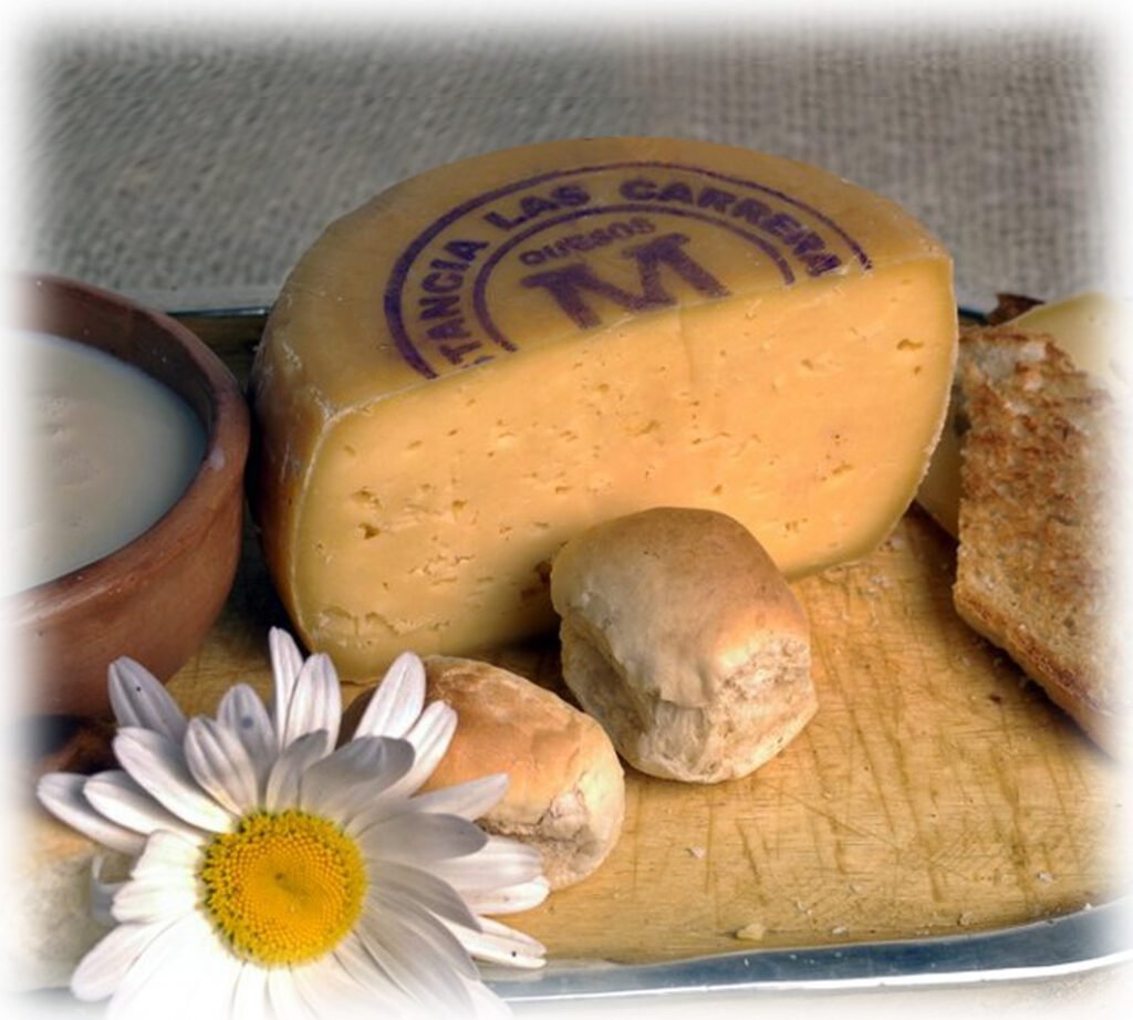 queso de tafí del valle
